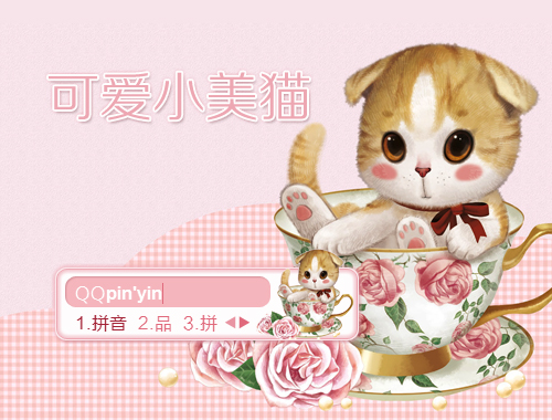 皮肤预览