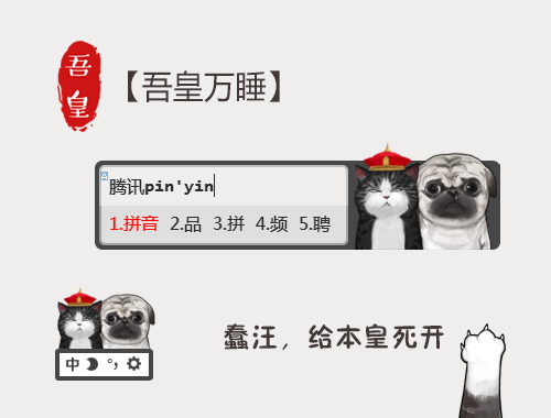 皮肤预览