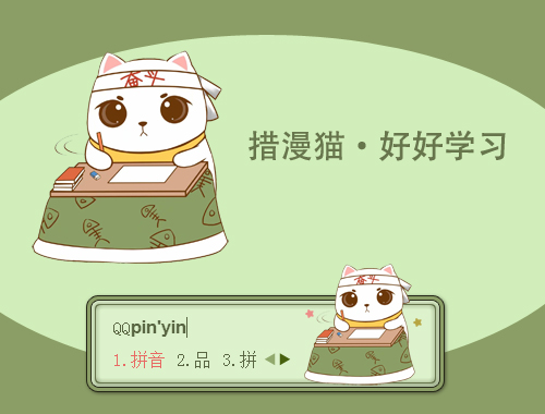 皮肤预览