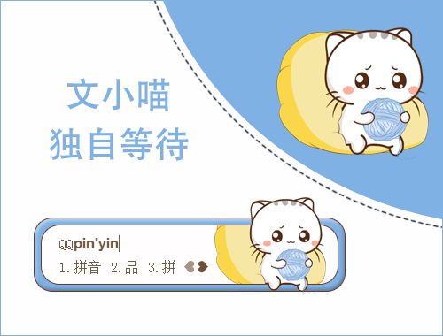 皮肤预览