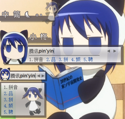 皮肤预览