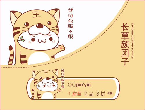 皮肤预览