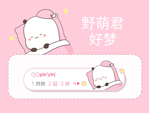 皮肤预览