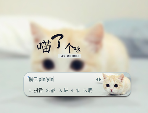 皮肤预览
