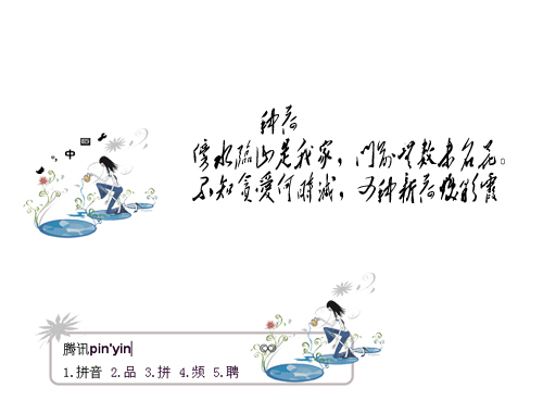 皮肤预览