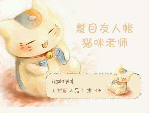皮肤预览