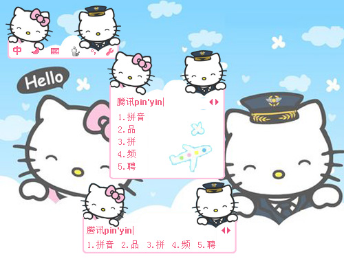 皮肤预览