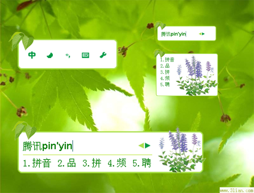 皮肤预览