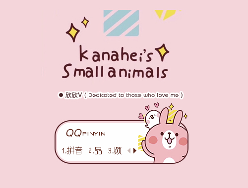 皮肤预览