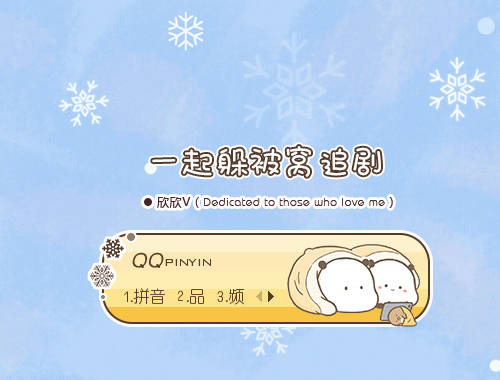皮肤预览
