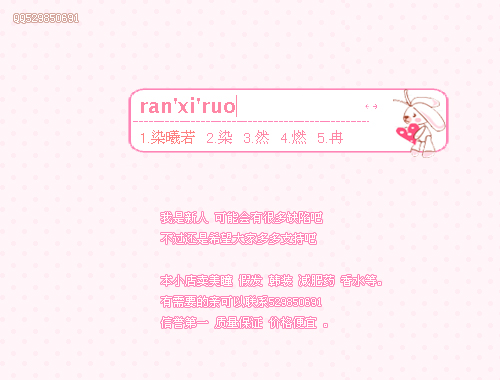 皮肤预览