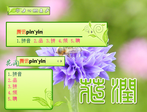 皮肤预览