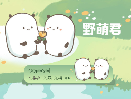 皮肤预览