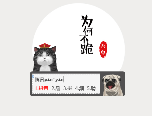 皮肤预览