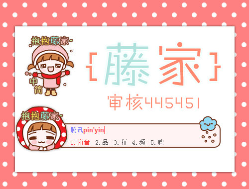 皮肤预览