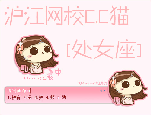 皮肤预览