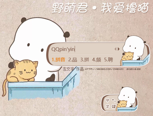 皮肤预览