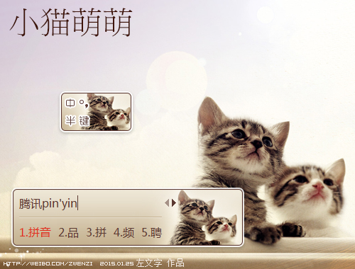 皮肤预览