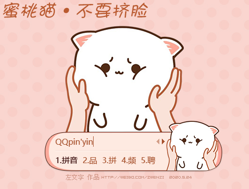 皮肤预览
