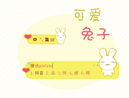 皮肤预览