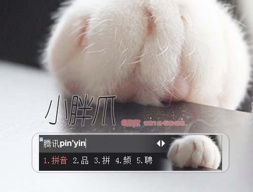 皮肤预览