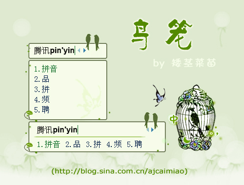 皮肤预览