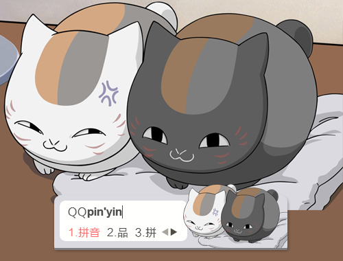 皮肤预览