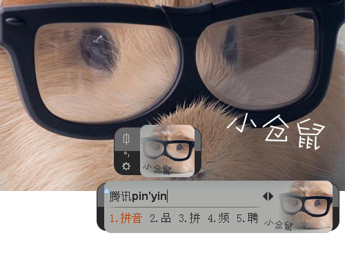 皮肤预览