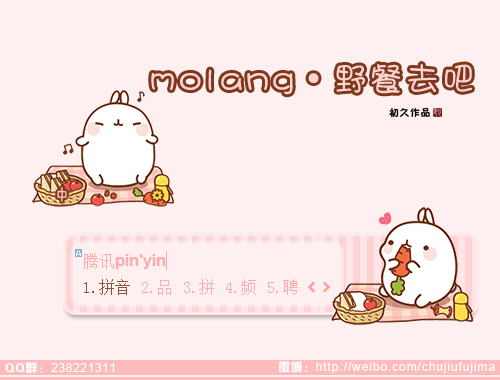 皮肤预览