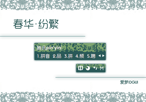 皮肤预览