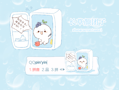皮肤预览