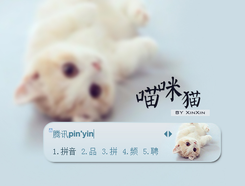皮肤预览