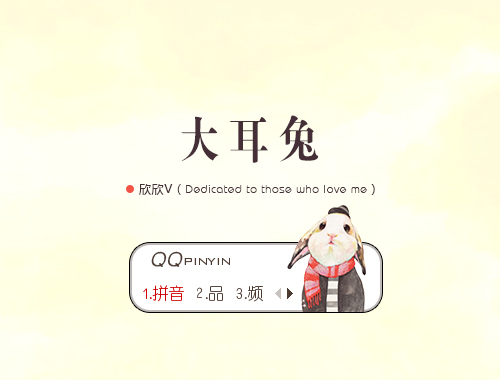 皮肤预览