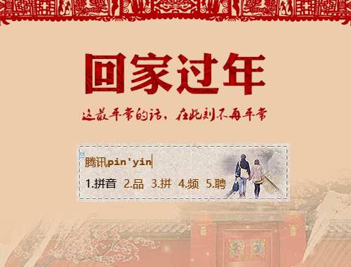 皮肤预览