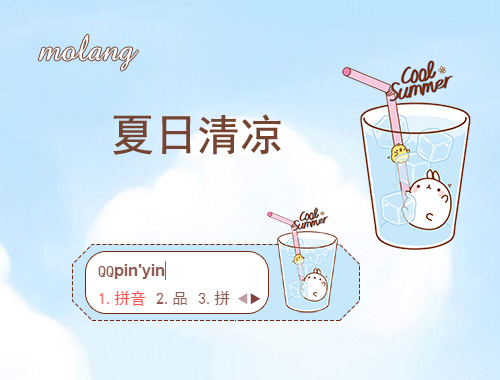 皮肤预览