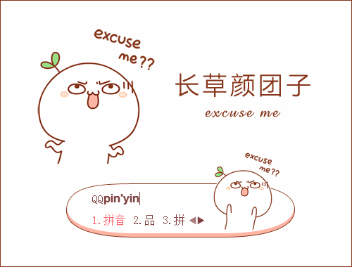 皮肤预览