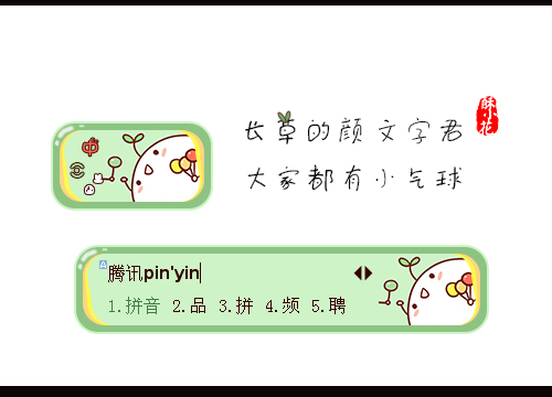 皮肤预览