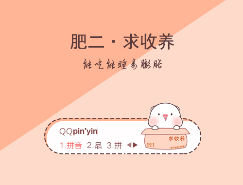 皮肤预览