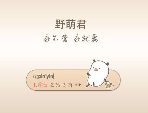 皮肤预览