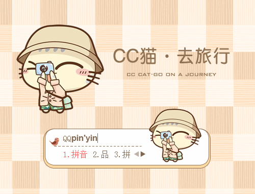 皮肤预览