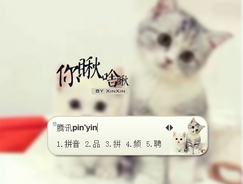 皮肤预览