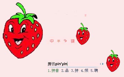 皮肤预览