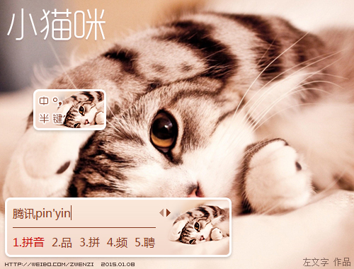 皮肤预览