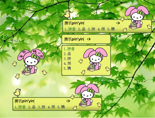 皮肤预览