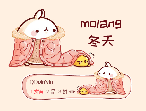 皮肤预览