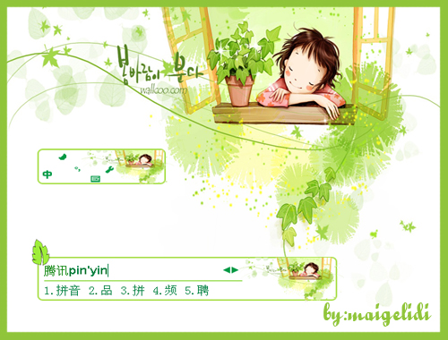 皮肤预览