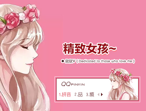皮肤预览