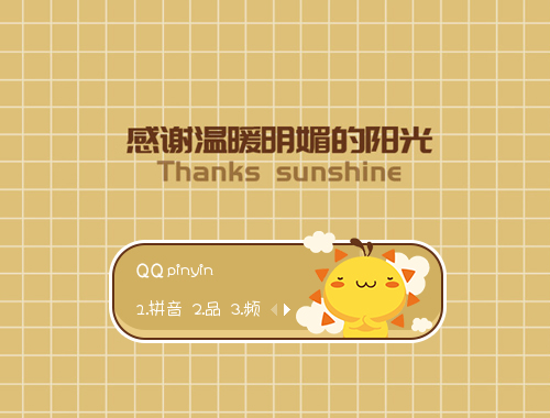 皮肤预览