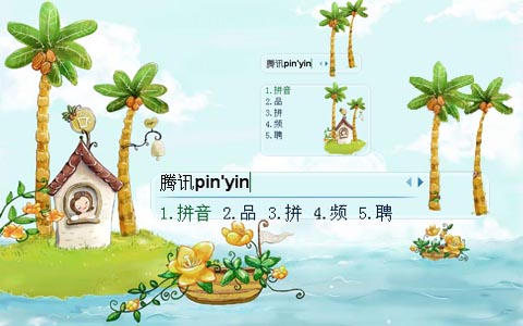皮肤预览