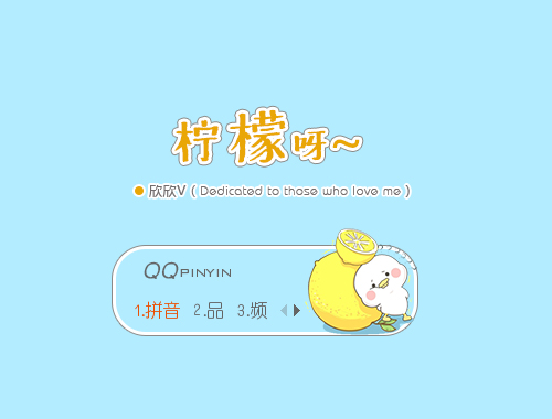 皮肤预览